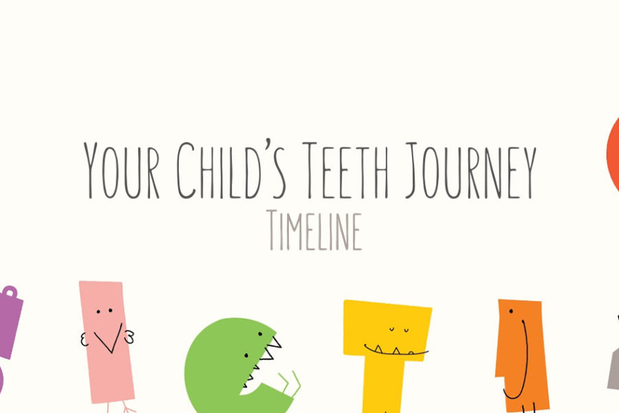 Child's Teeth Journey Timeline