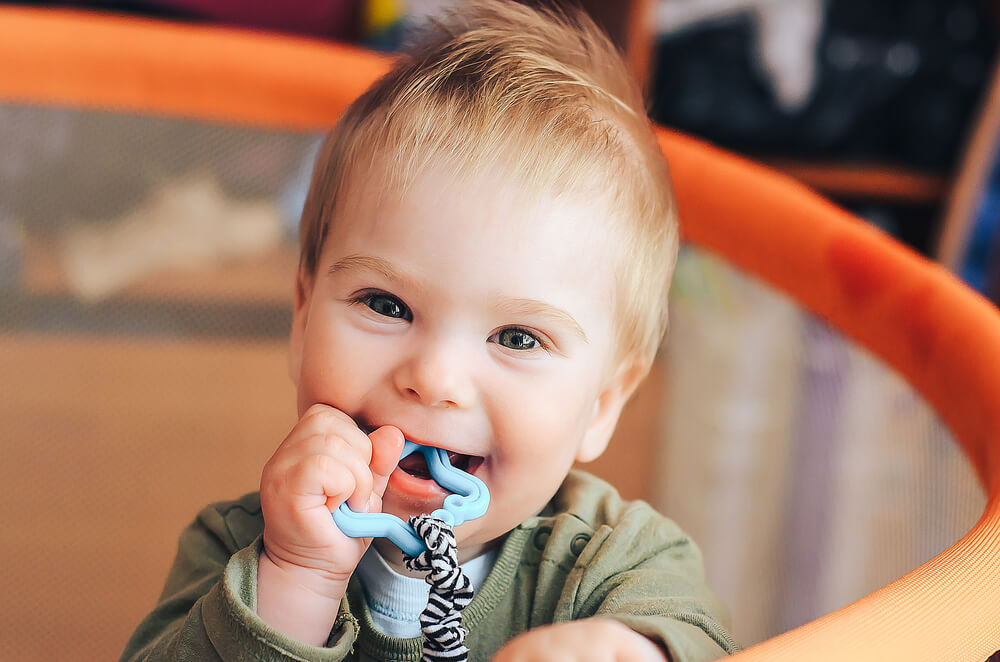 Teething Questions Answered